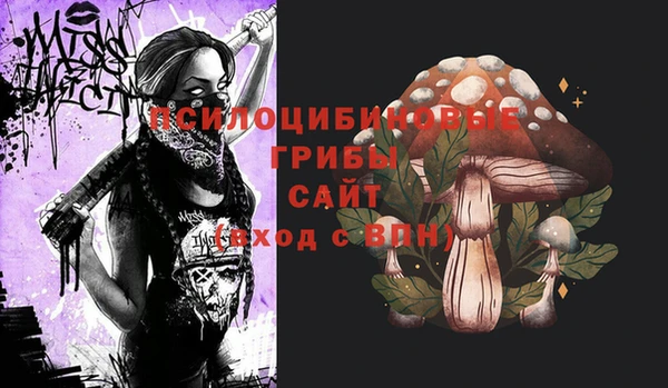 молекула духа Аркадак