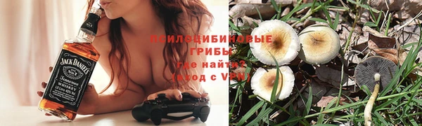 молекула духа Аркадак