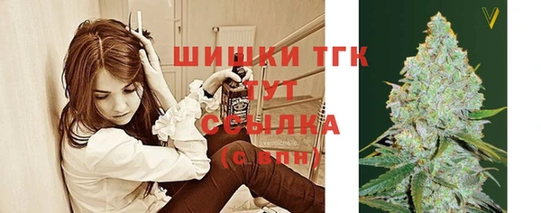 молекула духа Аркадак