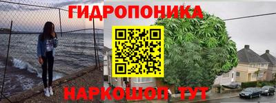 стафф Волжск