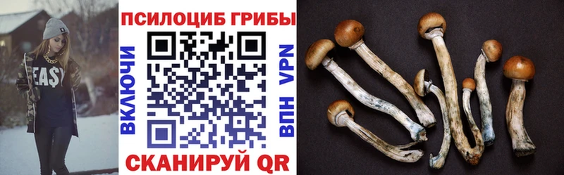 Галлюциногенные грибы Psilocybine cubensis Белебей