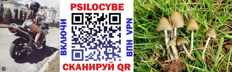 наркошоп  Белебей  Псилоцибиновые грибы прущие грибы 