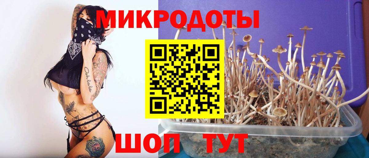 Галлюциногенные грибы прущие грибы  Псилоцибиновые грибы MAGIC MUSHROOMS  Белебей  Вход с VPN 